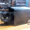 2010-03-29 Shuttle Cat_l.jpg